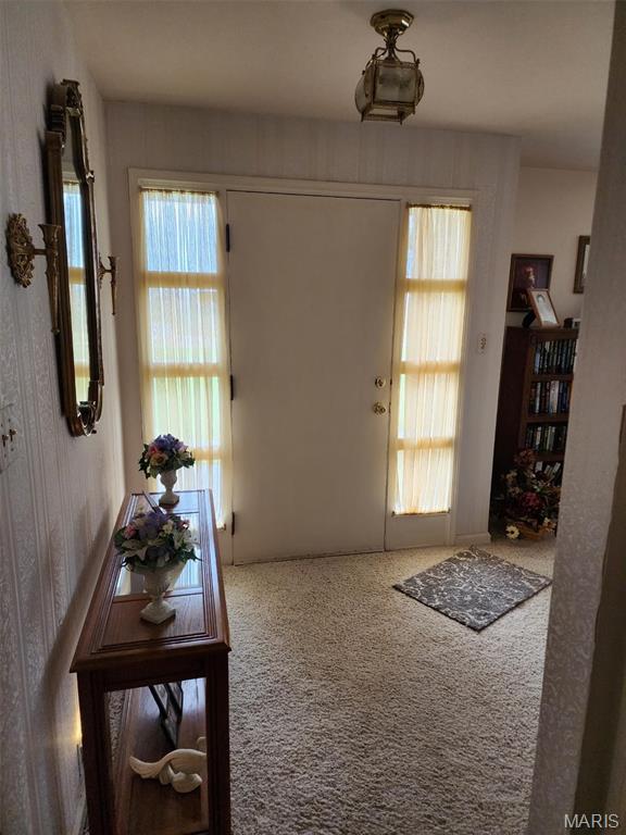 209 Highley Ln, Desloge, MO 63628 - foyer entrance featuring plenty of natural light and carpet floors