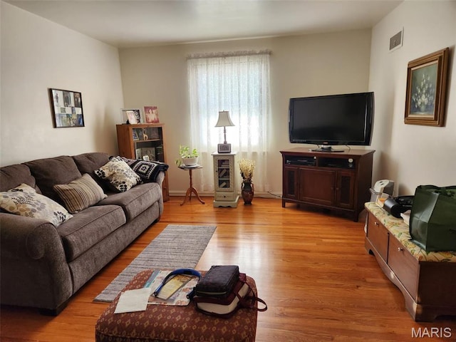 209 Highley Ln, Desloge, MO 63628 - living room with light wood-style flooring