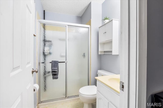 1748 Scenic Meadows Dr, Imperial, MO 63052 - bathroom with vanity, toilet, a shower stall, and a textured ceiling