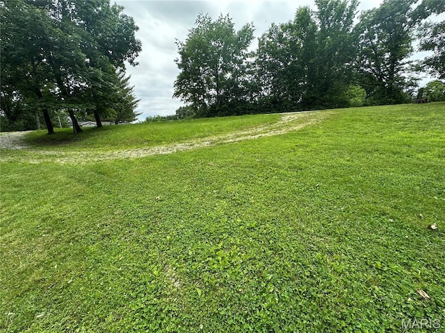 2557 River Bend Rd, Saint Clair, MO 63077 - view of green lawn