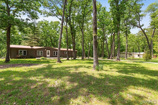 view of green lawn