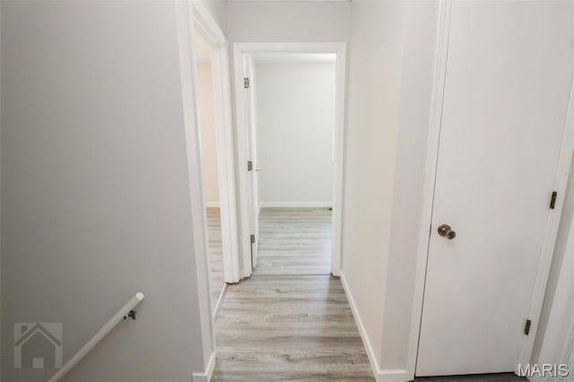 104 Wild Rose Pl, Saint Robert, MO 65584 - corridor with light wood finished floors and baseboards