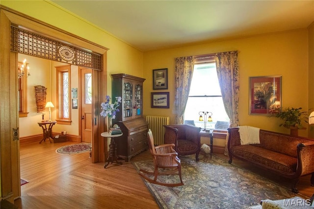 619 E Main St, Carlinville, IL 62626 - living area featuring wood finished floors