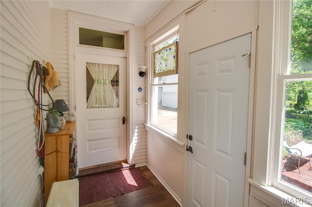 619 E Main St, Carlinville, IL 62626 - entryway with plenty of natural light and dark wood-type flooring
