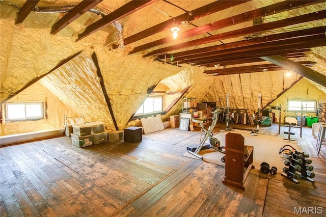 619 E Main St, Carlinville, IL 62626 - unfinished attic featuring plenty of natural light
