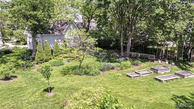 619 E Main St, Carlinville, IL 62626 - view of green lawn featuring a vegetable garden