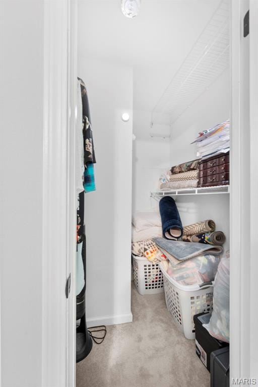 207 Straightoak, Ballwin, MO 63021 - walk in closet featuring carpet floors