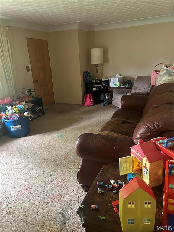 view of carpeted living area