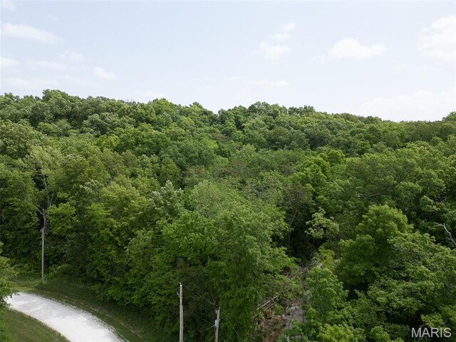40 Winding Ln, Troy, MO 63379 - photo 5