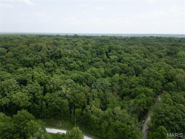 40 Winding Ln, Troy, MO 63379 - photo 6