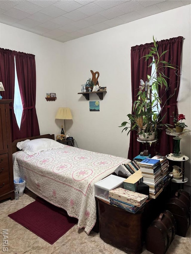 919 S 5th St, Greenville, IL 62246 - bedroom with carpet flooring