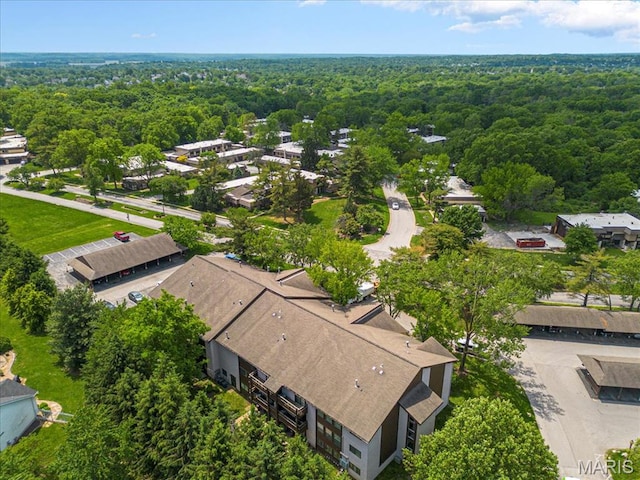 bird's eye view of a forest