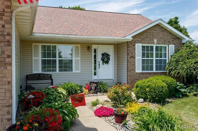 view of exterior entry featuring a shingled roof, brick siding, and covered porch