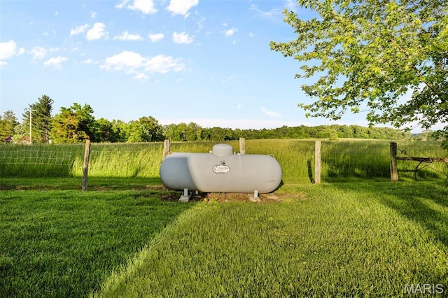 5704 Feezor Rd, Farmington, MO 63640 - view of yard