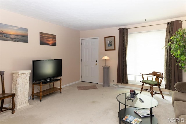 14 Dee St, Moro, IL 62067 - carpeted living area with baseboards
