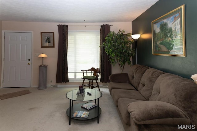 14 Dee St, Moro, IL 62067 - living area with carpet flooring