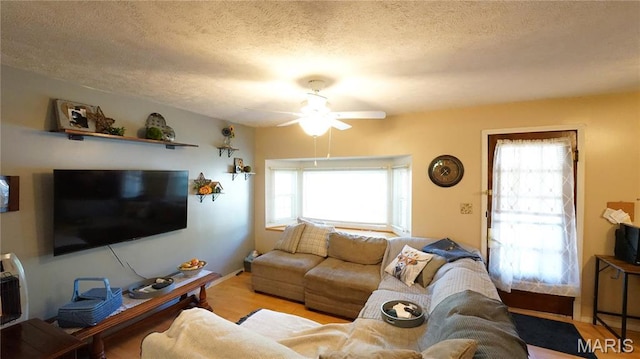811 N Catalpa St, Dexter, MO 63841 - living area featuring ceiling fan, a textured ceiling, and wood finished floors
