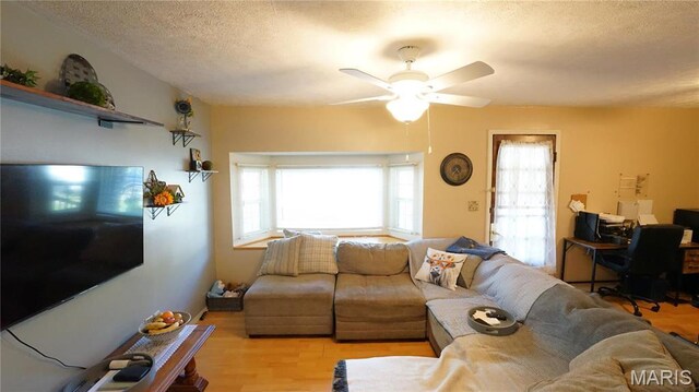811 N Catalpa St, Dexter, MO 63841 - living area with light wood-style floors, healthy amount of natural light, ceiling fan, and a textured ceiling