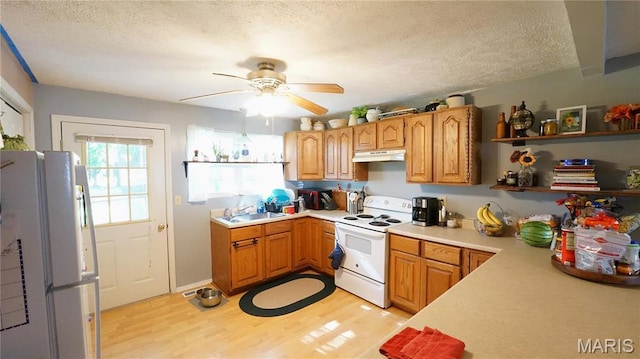 811 N Catalpa St, Dexter, MO 63841 - kitchen featuring white appliances, under cabinet range hood, light wood-type flooring, light countertops, and a textured ceiling