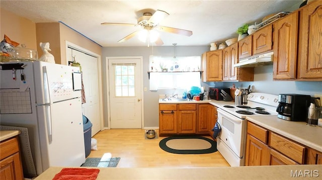 811 N Catalpa St, Dexter, MO 63841 - kitchen featuring white appliances, under cabinet range hood, light wood finished floors, and brown cabinets
