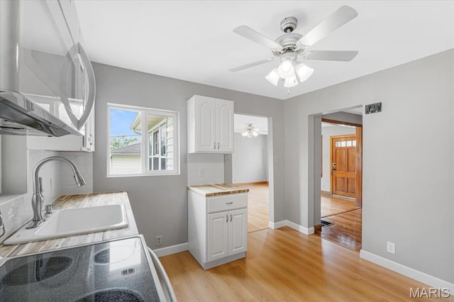 1522 S Elm Ave, Saint Louis, MO 63119 - kitchen with a sink, light wood finished floors, and ceiling fan