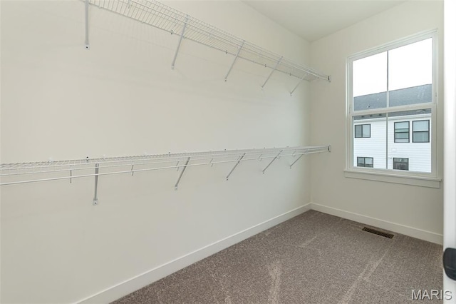 walk in closet featuring carpet floors