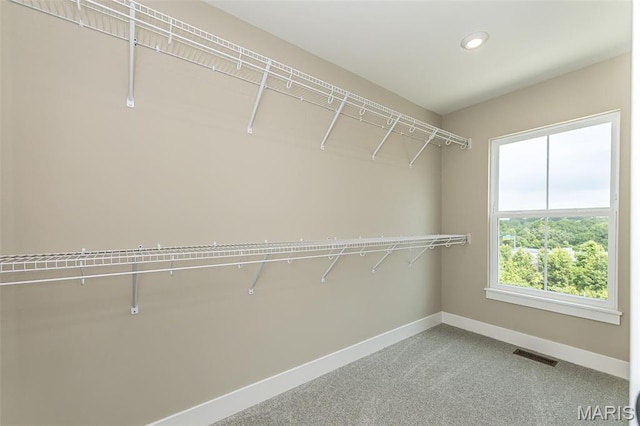 8927 Gateway Hts E, Richmond Heights, MO 63144 - photo 30