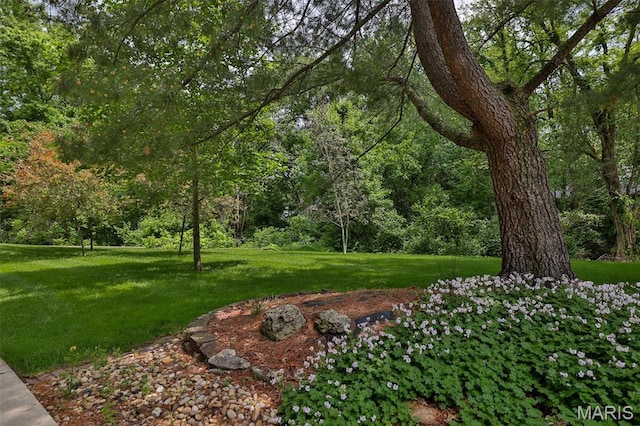 1989 Dogwood Trl, Collinsville, IL 62234 - view of grassy yard featuring a wooded view