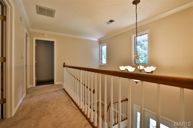 1989 Dogwood Trl, Collinsville, IL 62234 - hall with an upstairs landing, carpet floors, ornamental molding, baseboards, and a textured ceiling