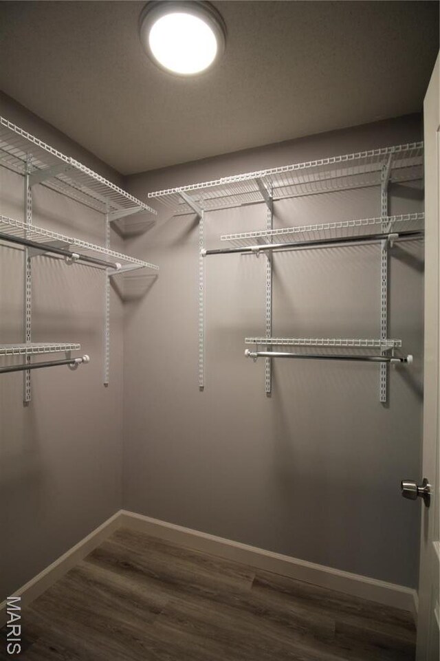 spacious closet with wood finished floors