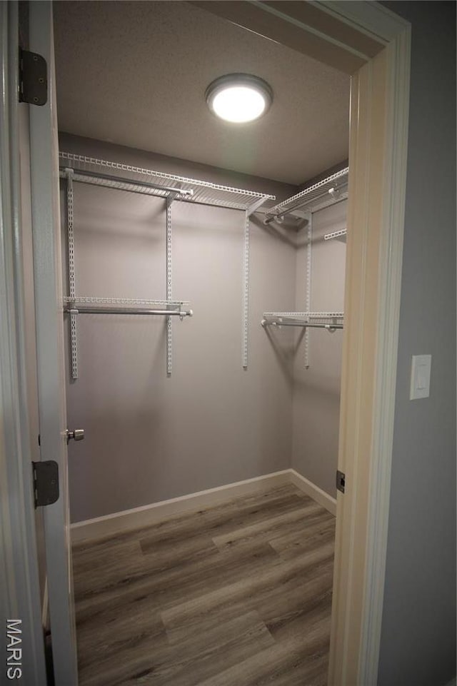 spacious closet with wood finished floors