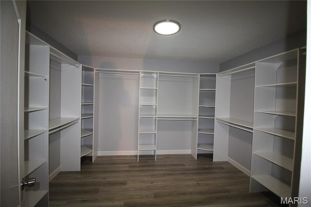 spacious closet with dark wood-type flooring