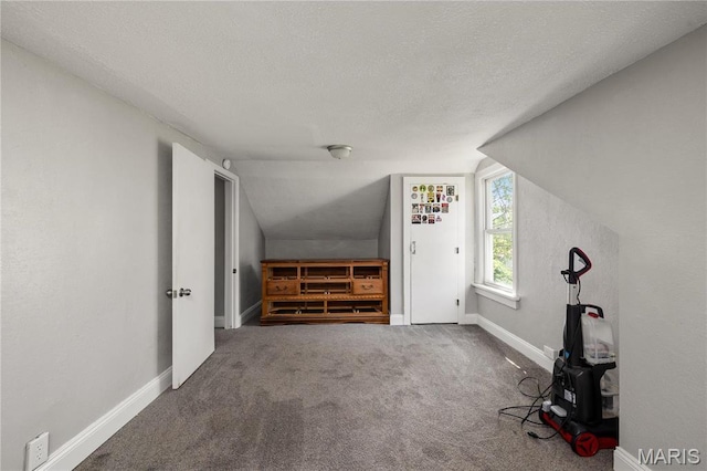 400 Main St, Waynesville, MO 65583 - additional living space featuring a textured ceiling, carpet flooring, vaulted ceiling, and baseboards