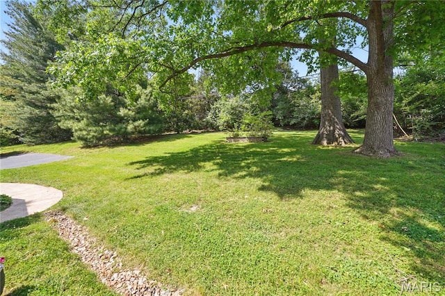 9063 Monmouth Dr, Saint Louis, MO 63117 - photo 18