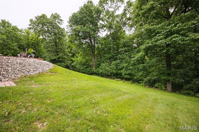 34 Siesta Dr, Hannibal, MO 63401 - photo 22