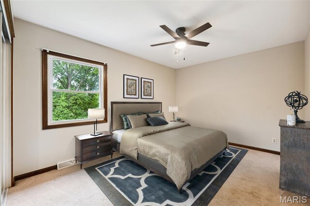34 Siesta Dr, Hannibal, MO 63401 - photo 33