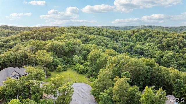 4545 Killdeer Dr, Augusta, MO 63332