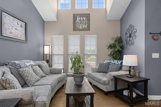 409 Briar Creek Rd, Troy, IL 62294 - living area with wood finished floors, healthy amount of natural light, and a high ceiling