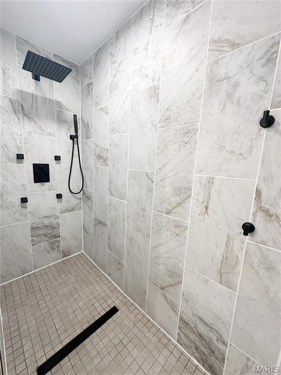 906 E Pace St, Salem, MO 65560 - bathroom with tiled shower