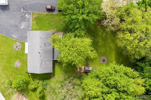 drone / aerial view