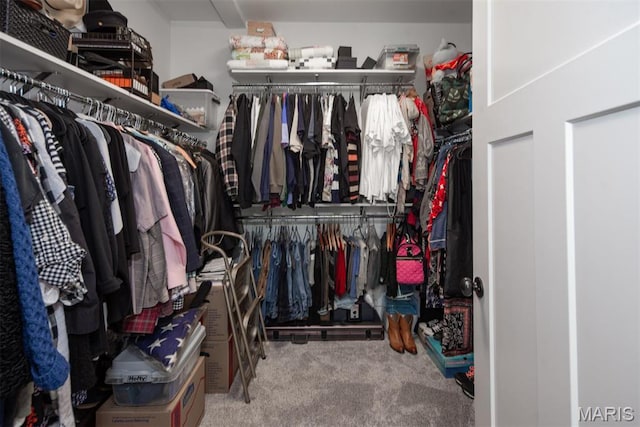7877 Sylvan Pl, Dittmer, MO 63023 - walk in closet with carpet