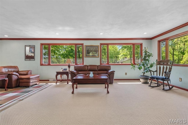 1934 Brigantine Cir, Worden, IL 62097 - living room with baseboards, carpet, ornamental molding, and recessed lighting