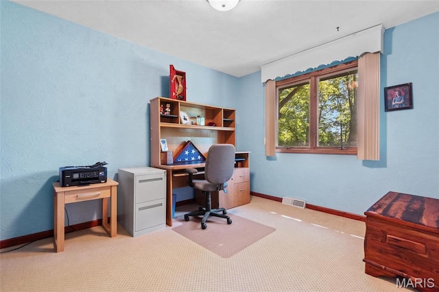1934 Brigantine Cir, Worden, IL 62097 - carpeted office space with baseboards