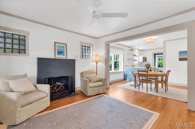 living room with light wood-type flooring, healthy amount of natural light, a fireplace, and ornamental molding