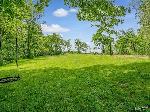 view of grassy yard
