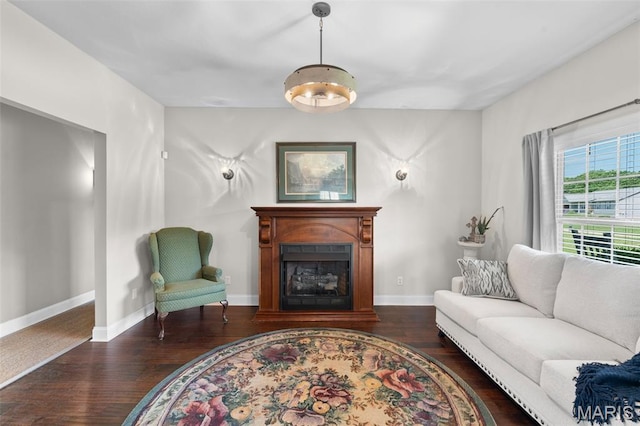 228 Bluegrass Ridge Rd, Saint Clair, MO 63077 - living area with wood finished floors, a fireplace, and baseboards