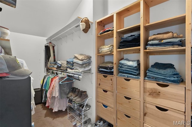 228 Bluegrass Ridge Rd, Saint Clair, MO 63077 - spacious closet featuring carpet flooring
