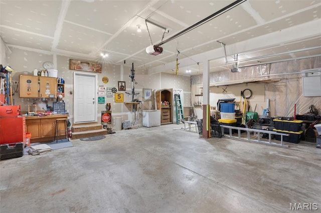 228 Bluegrass Ridge Rd, Saint Clair, MO 63077 - garage with a workshop area and a garage door opener