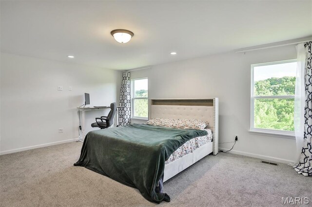 216 Liberty Valley Dr, Foristell, MO 63348 - photo 52
