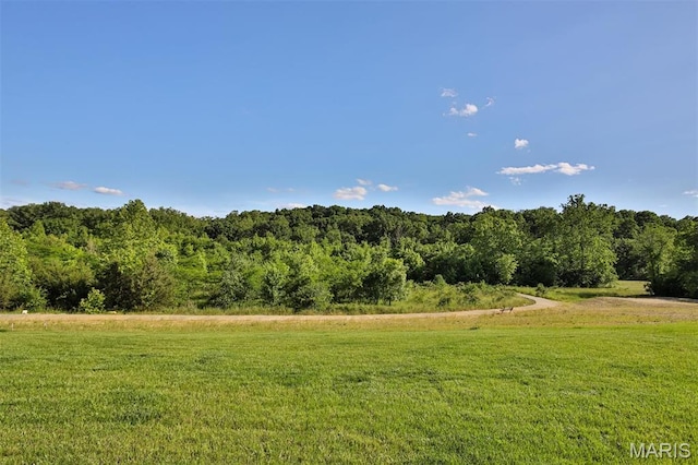 216 Liberty Valley Dr, Foristell, MO 63348 - photo 63